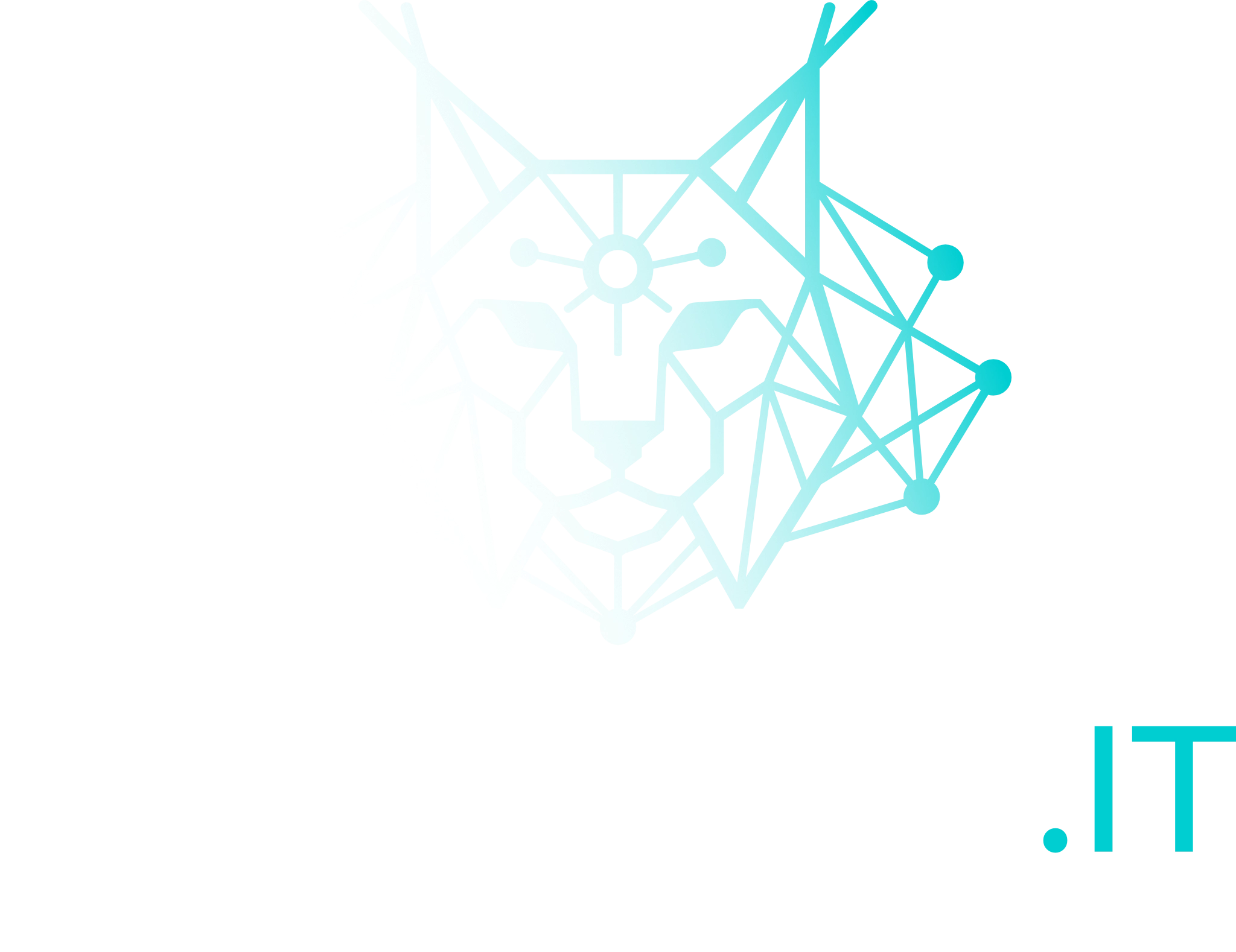 LynxNode.it – Connected Intelligence Logo